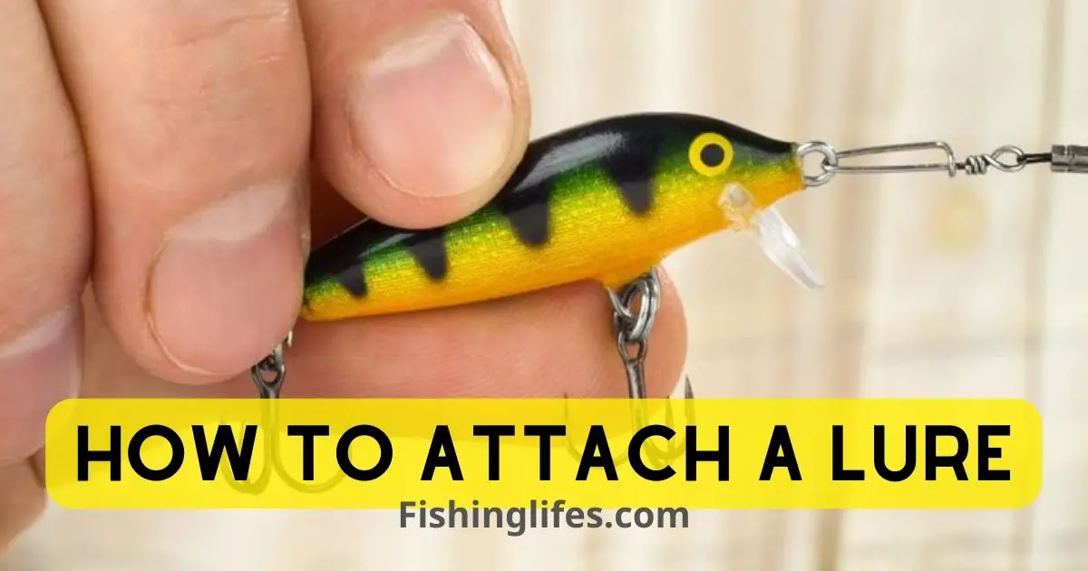 How To Attach A Lure
