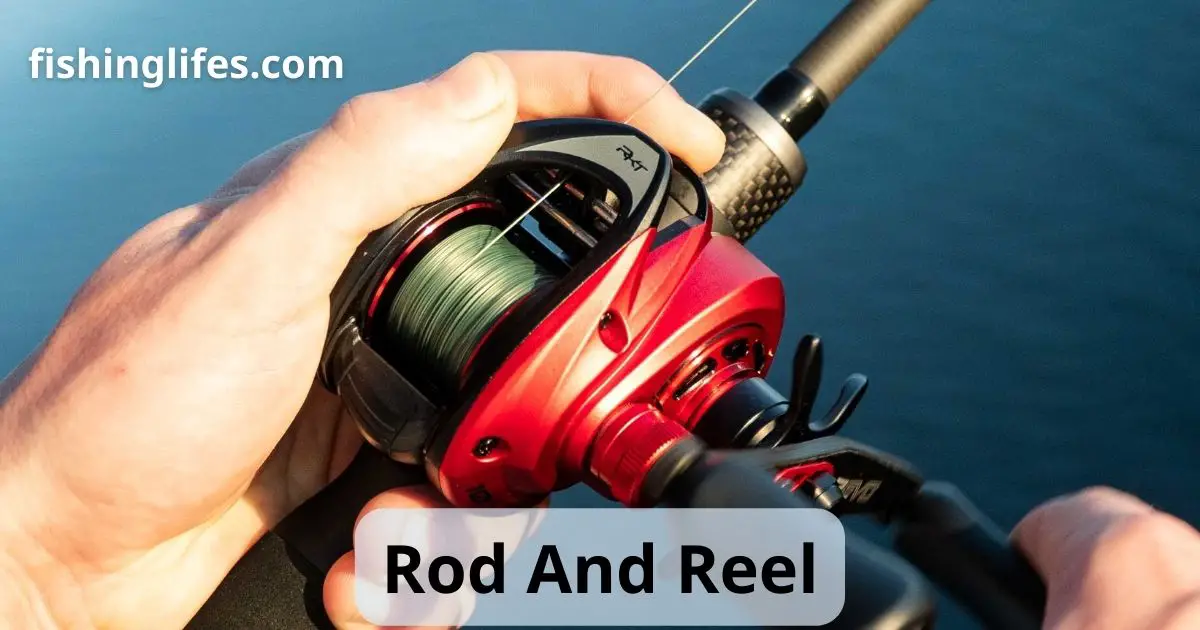 Rod And Reel